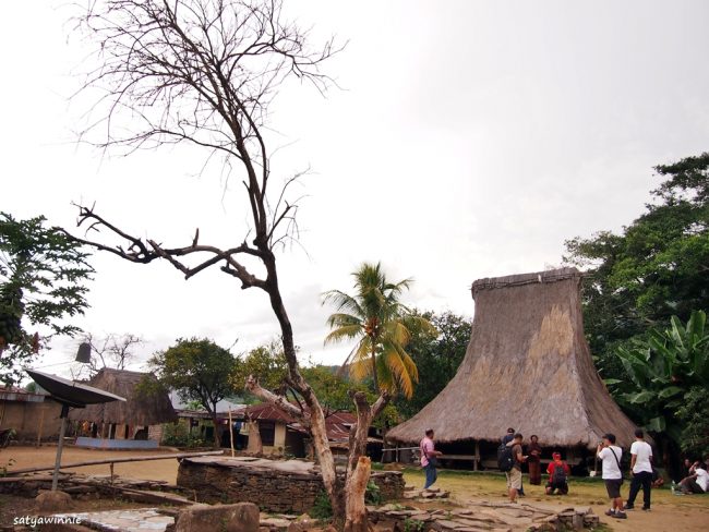Wisata kampung Adat Ranggase, 1. Wisata Taman Renungan Bung Karno, 2. Wisata Situs Pengasingan Bung Karno, 3. Wisata Pantai Tangga Alam, 4. Wisata Pantai Mbu’u, 5. Wisata Pantai Ria, 6. Wisata Museum Tenun Ikat, 7. Wisata Museum Bahari, 9. Wisata Kampung Adat Wologai, 10. Wisata Kampung Adat Ranggase, 11. Wisata Gunung Meja, 12. Wisata Gunung Iya, 13. Wisata Danau Kelimutu, 14. Wisata Pantai Batu Cincin, 15. Wisata Air Terjun Murundao Ende, 16. Pantai Batu Biru, 17. Pantai Ena Bara Maurole, 18. Air Terjun Kede Bodu, 19. Bukit Cinta Ende, 20. Kampung Adat Saga, 21. Bukit Liaga, 22. Kampung Adat Wolotopo