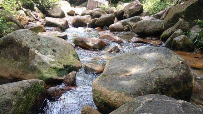 Air Pauh via Tribun Pontianak - Tempat Wisata Di Kayong Utara, 1. Pantai Pasir Mayang, 2. Bukit Begentar, 3. Bukit Mendale, 4. Taman Wisata Mangrove Sukadana, 5. Pulau Maya Karimata, 6. Pulau Kepayang, 7. Pantai Tambak Rawang, 8. Bukit Bulan, 9. Pulau Serutu, 10. Makam Gusti Panji, 11. Pulau Pelapis, 12. Kepulauan Karimata, 13. Pantai Batu Teritip, 14. Mesjid Oesman Al Khair, 15. Batu Cap, 16. Makam Raja Tengku Akil, 17. Sungai Betok, 18. Taman Nasional Gunung Palung, 19. Pantai Pulau Datok, 20. Air Pauh, 21. Air Terjun Bidadari, 22. Gunung Cabang, 23. Pantai Tanjuru, 24. Air Terjun Lubuk Baji, 25. Air Terjun Batu Pahat