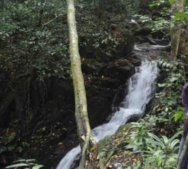 Air Terjun Batu Pahat - Tempat Wisata Di Kayong Utara, 1. Pantai Pasir Mayang, 2. Bukit Begentar, 3. Bukit Mendale, 4. Taman Wisata Mangrove Sukadana, 5. Pulau Maya Karimata, 6. Pulau Kepayang, 7. Pantai Tambak Rawang, 8. Bukit Bulan, 9. Pulau Serutu, 10. Makam Gusti Panji, 11. Pulau Pelapis, 12. Kepulauan Karimata, 13. Pantai Batu Teritip, 14. Mesjid Oesman Al Khair, 15. Batu Cap, 16. Makam Raja Tengku Akil, 17. Sungai Betok, 18. Taman Nasional Gunung Palung, 19. Pantai Pulau Datok, 20. Air Pauh, 21. Air Terjun Bidadari, 22. Gunung Cabang, 23. Pantai Tanjuru, 24. Air Terjun Lubuk Baji, 25. Air Terjun Batu Pahat