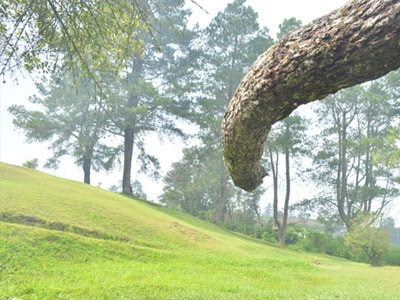 Bumi Perkemahan Alam Bandar, 1. Tugu Juang 45 Lobusona, 2. Air Terjun Linggahara, 3. Bukit Hijau Permai, 4. Waterboom Aek Janji, 5. Pulau Sikantan, 6. Sapadia Bombara Waterpark, 7. Air Terjun Sirao – Rao, 8. Bumi Perkemahan Alam Bandar, 9. Pantai Kahona, 10. Luppatan Tali – Tali, 11. Air Terjun Lama Rantau Prapat, 12. Tugu Simpang Empat, 13. Wisata Alam Aek Buru, 14. Puncak Hoza, 15. Tugu Simpang Enam