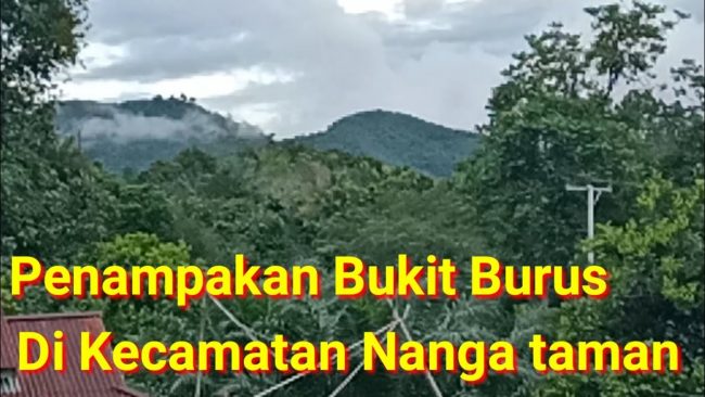 Bukit Burus Nanga Taman via Youtube, 1. Air Terjun Tengai, 2. Air Terjun Sosah Kain, 3. Air Terjun Sirin Punti, 4. Air Terjun Jungkong, 5. Air Terjun Pelaboh Bindang, 6. Air Terjun Hulu Katap, 7. Air Terjun Sungai Bayan, 8. Batu Jato, 9. Riam Segiam, 10. Air Terjun Menyumbung, 11. Makam Tertua Di Bumi Cidayo, 12. Air Terjun Nokan Cicak, 13. Batu Tinggi, 14. Air Terjun Semirah Putih, 15. Batu Bertulis, 16. Goa Lawang Kuari, 17. Air Terjun Gurung Sumpit, 18. Danau Simpi, 19. Bukit Burus Nanga Taman, 20. Air Terjun Nokan Nayan, 21. Rumah Panjang Sungai Antu, 22. Danau Engkaluk, 23. Makam Bukong, 24. Bukit Rentap, 25. Wisata Air Terjun Bukit Rentap, 26. Makam Raja Aji Melayu, 27. Rumah Tengkorak Manusia, 28. Batu Lingga Yoni Dara Muning, 29. Air Terjun Semirah Merambang, 30. Bukit Burang