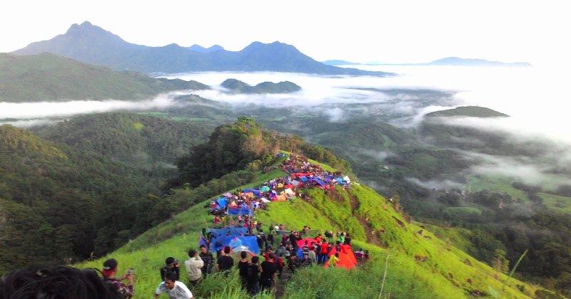 Bukit Penjamur Bengkayang via Nelsonfernaldi.blogspotcom, 1. Pantai Kijing, 2. Tugu Khatulistiwa, 3. Museum Negeri Sejarah Budaya Khas, 4. Keraton Kadriah, 5. Rumah Bentang Radakng, 6. Masjid Jami’ Pontianak, 7. Kampung Wisata Kuantan, 8. Pantai Pasir Panjang, 9. Aloe Vera Center, 10. Paradise-Q Waterpark, 11. Taman Bukit Bougenville, 12. Makam Kesultanan Batulayang, 13. Taman Nasional Gunung Palung, 14. Lemukutan Island, 15. Pelabuhan Seng Hie, 16. Bukit Penjamur Bengkayang, 17. Hutan Kota Untan, 18. Taman Alun – Alun Kapuas, 19. Air Terjun Riam Merasap, 20. Kampung Beting, 21. Danau Biru Singkawang, 22. Pulau Randayan, 23. Pulau Temajuk, 24. Jembatan Kapuas, 25. Pantai Kura – Kura, 26. Pantai Batu Burung, 27. Pantai Sedau, 28. Sinka Island Park, 29. Danau Tadow Indah, 30. Air Terjun Eria, 31. Wisata Air Terjun Sibohe, 32. Cagar Alam Raya Pasi, 33. Bukit Rindu Alam, 34. Taman Gayung Bersambut, 35. Taman Cinta Pajintan, 36. Taman Batu Belimbing, 37. Tugu Digulis atau Tugu Bambu Runcing Pontianak, 38. Vihara Bodhisatva Karaniya Metta, 39. Kapuas River Cruise, 40. Masjid Raya Mujahidin, 41. Waterboom Gunung Poteng