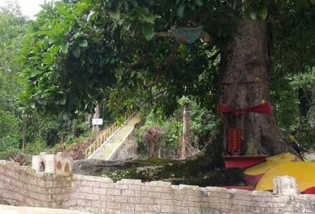 Bukit Seliung, 1. Taman Mempawah, 2. Pantai Jungkat, 3. Mempawah Mangrove Park, 4. Sebukit Rama, 5. Wisata Nusantara, 6. Bukit Seliung, 7. Sungai Mempawah, 8. Pantai Paku Pulau Temajo, 9. Makam Habib Husein Al Qadri, 10. Pantai Ancol Penibung, 11. Wisata Air Terjun Sambora, 12. Polaria Tanjung Pagar, 13. Goa Alam Santok, 14. Istana Amantubillah, 15. Pantai Kijing, 16. Danau Hijau, 17. Bukit Peniraman, 18. Wisata Pemandian Di Kaki Bukit Anjongan, 19. Bukit Wangkang, 20. Makam Opu Daeng Manambon, 21. Pantai Tanjung Burung