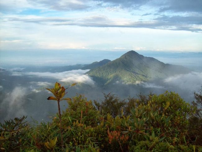 Gunung Cabang - Tempat Wisata Di Kayong Utara, 1. Pantai Pasir Mayang, 2. Bukit Begentar, 3. Bukit Mendale, 4. Taman Wisata Mangrove Sukadana, 5. Pulau Maya Karimata, 6. Pulau Kepayang, 7. Pantai Tambak Rawang, 8. Bukit Bulan, 9. Pulau Serutu, 10. Makam Gusti Panji, 11. Pulau Pelapis, 12. Kepulauan Karimata, 13. Pantai Batu Teritip, 14. Mesjid Oesman Al Khair, 15. Batu Cap, 16. Makam Raja Tengku Akil, 17. Sungai Betok, 18. Taman Nasional Gunung Palung, 19. Pantai Pulau Datok, 20. Air Pauh, 21. Air Terjun Bidadari, 22. Gunung Cabang, 23. Pantai Tanjuru, 24. Air Terjun Lubuk Baji, 25. Air Terjun Batu Pahat
