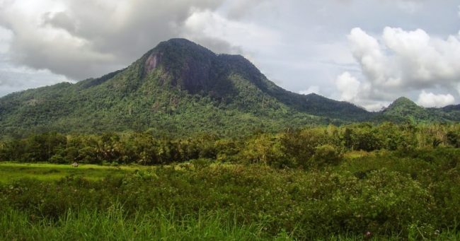 Gunung Ambawang via Borneoscape, 1. Situs Kerajaan Kubu, 2. Gunung Ambawang, 3. Dermaga Batu Ampar, 4. Sungai Kapuas Rasau Jaya, 5. Alam Batu Gajah Kubu Raya, 6. Air Terjun Bidang Bahar, 7. Sungai Kakap, 8. Batu Masjid, 9. Pulau Randayan, 10. Taman Fantasi, 11. Desa Jawa Tengah, 12. Batu/Bukit Wangkang, 13. Waterpark Paradis Q, 14. Wisata Hutan Albasia, 15. Kelenteng Timbul, 16. Taman Agrowisata Rekadena, 17. Taman Fantasia, 18. Pantai Tengkuyung, 19. Tugu Ali Anyang, 20. Hutan Mangrove Batu Ampar, 21. Air Terjun Teluk Pakedai, 22. Rajati Flower Garden, 23. Wisata Balek Kampong, 24. Wisata Danau Ho’Ce