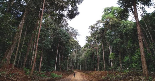 Hutan Adat via MOngabay, 1. Pantai Samudera Indah, 2. Pulau Randayan, 3. Bukit Jamur, 4. Air Terjun Riam Merasap, 5. Miniland Batu Payung, 6. Goa Romo, 7. Hutan Adat, 8. Air Terjun Riam Berawan, 9. Pulau Lemukutan, 10. Air Terjun Riam Susok, 11. Riam Madi, 12. Riam Pelayo, 13. Riam Mubek, 14. Riam Baro, 15. Riam Erang, 16. Riam Pain’t Batah, 17. Riam Marum, 18. Riam Bangaram, 19. Riam Jugan, 20. Riam Mangkamang, 21. Riam Sangadum, 22. Air Terjun Seraung, 23. Air Panas (Spax), 24. Danau Taipi, 25. Riam Surut, 26. Air Terjun Riam Sejajah, 27. Riam Panggar, 28. Riam Mangoi, 29. Wisata Riam Manajur, 30. Riam Guntur, 31. Riam Budi, 32. Riam Benian, 33. Riam Belangin atau Kuweg, 34. Riam Batu Timah, 35. Riam Batu Susun, 36. Riam Batapsa, 37. Riam Ampang, 38. Air Terjun Riam Banyis, 39. Air Terjun Wong Prawan, 40. Air Terjun Saray Brunyau, 41. Pantai Gosong, 42. Bukit Sepancong, 43. Gunung Bawang