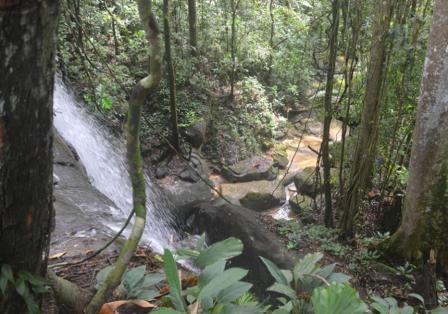 Hutan Belian Pulo Mas, 1. Air Terjun Saka Dua, 2. Air Terjun Pancur Aji, 3. Air Terjun Riam Macan, 4. Air Terjun Riam Asam Telogah, 5. Riam Baper Zone, 6. Air Terjun Kujato, 7. Bukit Bellew, 8. Gunung Tiong Kandang, 9. Air Terjun Kajang, 10. Bukit Bengkawan, 11. Bukit Bakmunt, 12. Air Terjun Gurong Maloh, 13. Air Terjun Siling Embangai, 14. Wisata Air Terjun Entugun, 15. Kampung Wisata Sentana, 16. Jembatan Gantung Sekayam, 17. Air Terjun Nosok, 18. Hutan Belian Pulo Mas, 19. Air Terjun Jitok, 20. Keraton Surya Negara, 21. Batu Garam, 22. Masjid Agung Al Muawanah, 23. Hutan Kota Sabang Merah, 24. Danau Lait, 25. Air Terjun Gunung Naning, 26. Padong Buaya, 27. Bukit Boruh, 28. Rumah Panjang, 29. Sipatn Lotup, 30. Air Terjun Sirin Punti, 31. Wisata Goa Thang Raya, 32. My Dream Sanggau, 33. Batu Posok, 34. Kampung Santana, 35. Riam Kuta