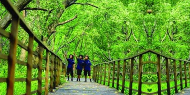 Hutan Kota Untan via Linkeventcom, 1. Pantai Kijing, 2. Tugu Khatulistiwa, 3. Museum Negeri Sejarah Budaya Khas, 4. Keraton Kadriah, 5. Rumah Bentang Radakng, 6. Masjid Jami’ Pontianak, 7. Kampung Wisata Kuantan, 8. Pantai Pasir Panjang, 9. Aloe Vera Center, 10. Paradise-Q Waterpark, 11. Taman Bukit Bougenville, 12. Makam Kesultanan Batulayang, 13. Taman Nasional Gunung Palung, 14. Lemukutan Island, 15. Pelabuhan Seng Hie, 16. Bukit Penjamur Bengkayang, 17. Hutan Kota Untan, 18. Taman Alun – Alun Kapuas, 19. Air Terjun Riam Merasap, 20. Kampung Beting, 21. Danau Biru Singkawang, 22. Pulau Randayan, 23. Pulau Temajuk, 24. Jembatan Kapuas, 25. Pantai Kura – Kura, 26. Pantai Batu Burung, 27. Pantai Sedau, 28. Sinka Island Park, 29. Danau Tadow Indah, 30. Air Terjun Eria, 31. Wisata Air Terjun Sibohe, 32. Cagar Alam Raya Pasi, 33. Bukit Rindu Alam, 34. Taman Gayung Bersambut, 35. Taman Cinta Pajintan, 36. Taman Batu Belimbing, 37. Tugu Digulis atau Tugu Bambu Runcing Pontianak, 38. Vihara Bodhisatva Karaniya Metta, 39. Kapuas River Cruise, 40. Masjid Raya Mujahidin, 41. Waterboom Gunung Poteng