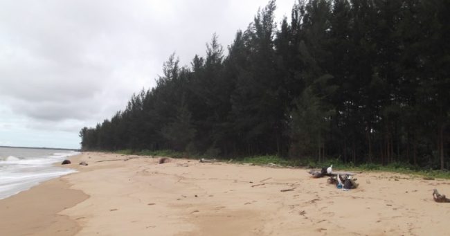 Pantai Selimpai via Iklankalbar, 1. Pulau Selimpai, 2. Tugu Terigas Sambas, 3. Pantai Temajuk, 4. Pantai Kalang Bahu, 5. Makam Keramat Bantilan, 6. Monument Ketupat Berdarah, 7. Pantai Camar Wulan, 8. Pantai Bukit Raya Putri Serai, 9. Pantai Tanjung Batu, 10. Pantai Mauludin, 11. Tanjung Dato, 12. Sungai Sambas, 13. Pantai Tanjung Bendera, 14. Pantai Dungun Laut, 15. Taman Wisata Alam Gunung Asuansang, 16. Masjid Jami’ Keraton Sambas, 17. Jembatan Sambas, 18. Danau Sebedang, 19. Pantai Kampak Indah, 20. Pantai Putri Serayi, 21. Kebun Raya Sambas, 22. Pantai Selimpai, 23. Pantai Tanjung Kemuning, 24. Pantai Tanjung Datu, 25. Keraton Sambas, 26. Pantai Mutusan, 27. Pantai Sinam, 28. Vihara Bumi Raya Pemangkat, 29. Museum Negeri Perjuangan, 30. Taman Wisata Alam Gunung Melintang, 31. Air Terjun Berasap, 32. Pantai Polaria, 33. Air Terjun Riam Canggat, 34. Istana Alwatzikoebillah, 35. Gereja Katolik Kristus Raja Paroki Sambas, 36. Taman Wisata Alam Tanjung Belimbing, 37. Pantai Arum Medang, 38. Taman LUNGGI Sambas, 39. Danau Biru Selakau Timur, 40. Pantai Batu Nenek, 41. Air Terjun Riam Merasap, 42. Bukit Liteng, 43. Pos Lintas Batas Negara Aruk, 44. Goa Alam Santok