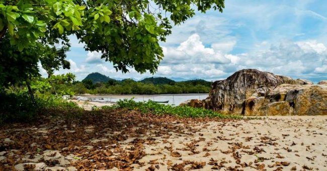 Pantai Pasir Mayang via Wartakayong.wordpresscom, 1. Pantai Pasir Mayang, 2. Bukit Begentar, 3. Bukit Mendale, 4. Taman Wisata Mangrove Sukadana, 5. Pulau Maya Karimata, 6. Pulau Kepayang, 7. Pantai Tambak Rawang, 8. Bukit Bulan, 9. Pulau Serutu, 10. Makam Gusti Panji, 11. Pulau Pelapis, 12. Kepulauan Karimata, 13. Pantai Batu Teritip, 14. Mesjid Oesman Al Khair, 15. Batu Cap, 16. Makam Raja Tengku Akil, 17. Sungai Betok, 18. Taman Nasional Gunung Palung, 19. Pantai Pulau Datok, 20. Air Pauh, 21. Air Terjun Bidadari, 22. Gunung Cabang, 23. Pantai Tanjuru, 24. Air Terjun Lubuk Baji, 25. Air Terjun Batu Pahat