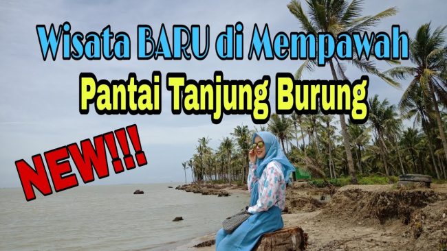 Pantai Tanjung Burung via Youtube, 1. Taman Mempawah, 2. Pantai Jungkat, 3. Mempawah Mangrove Park, 4. Sebukit Rama, 5. Wisata Nusantara, 6. Bukit Seliung, 7. Sungai Mempawah, 8. Pantai Paku Pulau Temajo, 9. Makam Habib Husein Al Qadri, 10. Pantai Ancol Penibung, 11. Wisata Air Terjun Sambora, 12. Polaria Tanjung Pagar, 13. Goa Alam Santok, 14. Istana Amantubillah, 15. Pantai Kijing, 16. Danau Hijau, 17. Bukit Peniraman, 18. Wisata Pemandian Di Kaki Bukit Anjongan, 19. Bukit Wangkang, 20. Makam Opu Daeng Manambon, 21. Pantai Tanjung Burung