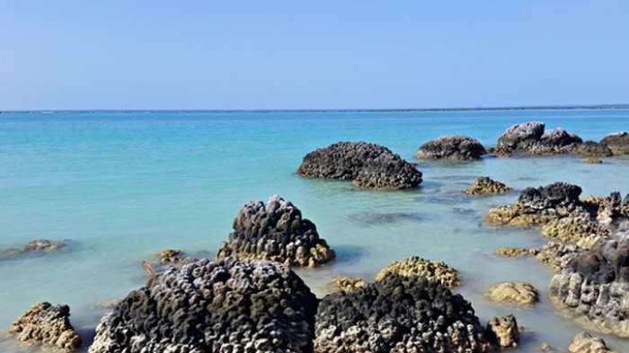 Pantai Tureloto via Tribunnews, 1. Pantai Toyolaya, 2. Pulau Wunga Laguna, 3. Pantai Tureloto, 4. Pantai Gawu Soyo, 5. Pulau Asu, 6. Pantai Sorake, 7. Desa Adat Bawomataluo, 8. Desa Wisata Orahili, 9. Museum Pusaka Suku Nias, 10. Air Terjun Humogo, 11. Kepulauan Hinako, 12. Pantai Karang Falaete, 13. Air Terjun Mondrowe, 14. Pantai Sifahandro, 15. Pulau Tello, 16. Pulau Sibele, 17. Taman Doa Bunda Maria, 18. Teluk Bengkuang, 19. Pantai Asi Walo, 20. Pasir Putih Pulau Impian, 21. Masjid Agung Ar-Rahman, 22. Teluk Rusa, 23. Pantai Hilisataro Toma, 24. Jembatan O,ou, 25. Pantai Siabang