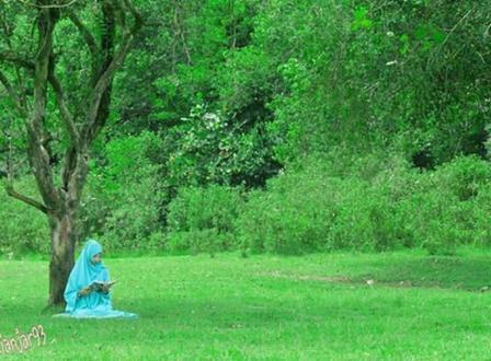 Padang Rumput Desa Sidomulyo, 1. Air Terjun Entoba, 2. Sungai Desa Nyanggai, 3. Air Terjun Gurung Melawi, 4. Pemandian KM 10, 5. Danau Lobur, 6. Jembatan Gantung Desa Nanga Menunuk, 7. Sungai Belaban, 8. Air Terjun Nibung, 9. Sungai Pinoh, 10. Embung Bemban, 11. Danau Biru Melawi, 12. Air Terjun Sahai Penahan, 13. Taman Nasional Bukit Raya Bukit Baka, 14. Riam Sengiang, 15. Batu Licin, 16. Sungai Melaw, 17. Bukit Matok, 18. Tugu Republik Indonesia Serikat, 19. Bukit Lintang, 20. Tugu Juang, 21. Air Terjun Sahai Apat, 22. Bukit Saran, 23. Sungai Desa Tiong Keranjik, 24. Padang Rumput Desa Sidomulyo, 25. Air Terjun Sahai Sawit, 26. Air Terjun Sahai Pelangkah, 27. Air Terjun Desa Ella Hulu, 28. Kolam Stadion Olahraga, 29. Yayasan Mawar, 30. Bukit Desa Nanga Siyai, 31. Bukit Desa Domet Permai, 32. Bukit Batu Menangis, 33. Air Terjun Kumpang Arang, 34. Gunung Kelam, 35. Air Terjun Siling Lubang Kuter, 36. Sungai Kayan