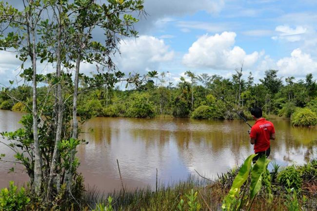 Padong Buaya, 1. Air Terjun Saka Dua, 2. Air Terjun Pancur Aji, 3. Air Terjun Riam Macan, 4. Air Terjun Riam Asam Telogah, 5. Riam Baper Zone, 6. Air Terjun Kujato, 7. Bukit Bellew, 8. Gunung Tiong Kandang, 9. Air Terjun Kajang, 10. Bukit Bengkawan, 11. Bukit Bakmunt, 12. Air Terjun Gurong Maloh, 13. Air Terjun Siling Embangai, 14. Wisata Air Terjun Entugun, 15. Kampung Wisata Sentana, 16. Jembatan Gantung Sekayam, 17. Air Terjun Nosok, 18. Hutan Belian Pulo Mas, 19. Air Terjun Jitok, 20. Keraton Surya Negara, 21. Batu Garam, 22. Masjid Agung Al Muawanah, 23. Hutan Kota Sabang Merah, 24. Danau Lait, 25. Air Terjun Gunung Naning, 26. Padong Buaya, 27. Bukit Boruh, 28. Rumah Panjang, 29. Sipatn Lotup, 30. Air Terjun Sirin Punti, 31. Wisata Goa Thang Raya, 32. My Dream Sanggau, 33. Batu Posok, 34. Kampung Santana, 35. Riam Kuta