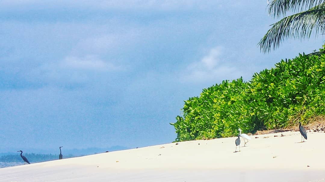 Pasir Putih Pulau Impian via IG @explore_pulau_nias, 1. Pantai Toyolaya, 2. Pulau Wunga Laguna, 3. Pantai Tureloto, 4. Pantai Gawu Soyo, 5. Pulau Asu, 6. Pantai Sorake, 7. Desa Adat Bawomataluo, 8. Desa Wisata Orahili, 9. Museum Pusaka Suku Nias, 10. Air Terjun Humogo, 11. Kepulauan Hinako, 12. Pantai Karang Falaete, 13. Air Terjun Mondrowe, 14. Pantai Sifahandro, 15. Pulau Tello, 16. Pulau Sibele, 17. Taman Doa Bunda Maria, 18. Teluk Bengkuang, 19. Pantai Asi Walo, 20. Pasir Putih Pulau Impian, 21. Masjid Agung Ar-Rahman, 22. Teluk Rusa, 23. Pantai Hilisataro Toma, 24. Jembatan O,ou, 25. Pantai Siabang