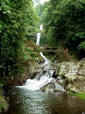 Riam Mangkamang, 1. Pantai Samudera Indah, 2. Pulau Randayan, 3. Bukit Jamur, 4. Air Terjun Riam Merasap, 5. Miniland Batu Payung, 6. Goa Romo, 7. Hutan Adat, 8. Air Terjun Riam Berawan, 9. Pulau Lemukutan, 10. Air Terjun Riam Susok, 11. Riam Madi, 12. Riam Pelayo, 13. Riam Mubek, 14. Riam Baro, 15. Riam Erang, 16. Riam Pain’t Batah, 17. Riam Marum, 18. Riam Bangaram, 19. Riam Jugan, 20. Riam Mangkamang, 21. Riam Sangadum, 22. Air Terjun Seraung, 23. Air Panas (Spax), 24. Danau Taipi, 25. Riam Surut, 26. Air Terjun Riam Sejajah, 27. Riam Panggar, 28. Riam Mangoi, 29. Wisata Riam Manajur, 30. Riam Guntur, 31. Riam Budi, 32. Riam Benian, 33. Riam Belangin atau Kuweg, 34. Riam Batu Timah, 35. Riam Batu Susun, 36. Riam Batapsa, 37. Riam Ampang, 38. Air Terjun Riam Banyis, 39. Air Terjun Wong Prawan, 40. Air Terjun Saray Brunyau, 41. Pantai Gosong, 42. Bukit Sepancong, 43. Gunung Bawang