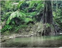 Riam Pain’t Batah, 1. Pantai Samudera Indah, 2. Pulau Randayan, 3. Bukit Jamur, 4. Air Terjun Riam Merasap, 5. Miniland Batu Payung, 6. Goa Romo, 7. Hutan Adat, 8. Air Terjun Riam Berawan, 9. Pulau Lemukutan, 10. Air Terjun Riam Susok, 11. Riam Madi, 12. Riam Pelayo, 13. Riam Mubek, 14. Riam Baro, 15. Riam Erang, 16. Riam Pain’t Batah, 17. Riam Marum, 18. Riam Bangaram, 19. Riam Jugan, 20. Riam Mangkamang, 21. Riam Sangadum, 22. Air Terjun Seraung, 23. Air Panas (Spax), 24. Danau Taipi, 25. Riam Surut, 26. Air Terjun Riam Sejajah, 27. Riam Panggar, 28. Riam Mangoi, 29. Wisata Riam Manajur, 30. Riam Guntur, 31. Riam Budi, 32. Riam Benian, 33. Riam Belangin atau Kuweg, 34. Riam Batu Timah, 35. Riam Batu Susun, 36. Riam Batapsa, 37. Riam Ampang, 38. Air Terjun Riam Banyis, 39. Air Terjun Wong Prawan, 40. Air Terjun Saray Brunyau, 41. Pantai Gosong, 42. Bukit Sepancong, 43. Gunung Bawang