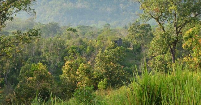 Taman Nasional Bukit Raya Bukit Baka via Menlhkgoid, 1. Air Terjun Entoba, 2. Sungai Desa Nyanggai, 3. Air Terjun Gurung Melawi, 4. Pemandian KM 10, 5. Danau Lobur, 6. Jembatan Gantung Desa Nanga Menunuk, 7. Sungai Belaban, 8. Air Terjun Nibung, 9. Sungai Pinoh, 10. Embung Bemban, 11. Danau Biru Melawi, 12. Air Terjun Sahai Penahan, 13. Taman Nasional Bukit Raya Bukit Baka, 14. Riam Sengiang, 15. Batu Licin, 16. Sungai Melaw, 17. Bukit Matok, 18. Tugu Republik Indonesia Serikat, 19. Bukit Lintang, 20. Tugu Juang, 21. Air Terjun Sahai Apat, 22. Bukit Saran, 23. Sungai Desa Tiong Keranjik, 24. Padang Rumput Desa Sidomulyo, 25. Air Terjun Sahai Sawit, 26. Air Terjun Sahai Pelangkah, 27. Air Terjun Desa Ella Hulu, 28. Kolam Stadion Olahraga, 29. Yayasan Mawar, 30. Bukit Desa Nanga Siyai, 31. Bukit Desa Domet Permai, 32. Bukit Batu Menangis, 33. Air Terjun Kumpang Arang, 34. Gunung Kelam, 35. Air Terjun Siling Lubang Kuter, 36. Sungai Kayan