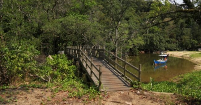 Taman Nasional Gunung Palung via Voinews - Tempat Wisata Di Kayong Utara, 1. Pantai Pasir Mayang, 2. Bukit Begentar, 3. Bukit Mendale, 4. Taman Wisata Mangrove Sukadana, 5. Pulau Maya Karimata, 6. Pulau Kepayang, 7. Pantai Tambak Rawang, 8. Bukit Bulan, 9. Pulau Serutu, 10. Makam Gusti Panji, 11. Pulau Pelapis, 12. Kepulauan Karimata, 13. Pantai Batu Teritip, 14. Mesjid Oesman Al Khair, 15. Batu Cap, 16. Makam Raja Tengku Akil, 17. Sungai Betok, 18. Taman Nasional Gunung Palung, 19. Pantai Pulau Datok, 20. Air Pauh, 21. Air Terjun Bidadari, 22. Gunung Cabang, 23. Pantai Tanjuru, 24. Air Terjun Lubuk Baji, 25. Air Terjun Batu Pahat