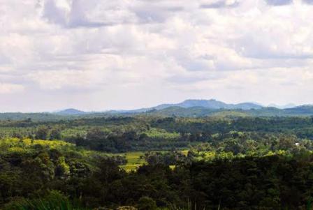 Wisata Gunung Seha, 1. Air Terjun Rombo Katio, 2. Air Terjun Melanggar, 3. Goa Tangandu, 4. Air Terjun Riam Dait, 5. Air Terjun Terinting, 6. Air Terjun Selanei, 7. Air Terjun Engkanan, 8. Air Terjun Riam Bedawan, 9. Air Terjun Riam Solakng, 10. Air Terjun Angkabang, 11. Makam Raja Landak, 12. Air Terjun Sahai Sebelas, 13. Bukit Terinting, 14. Air Terjun Tikalong, 15. Bukit Batu Pakumbang, 16. Riam Angan Tembawang, 17. Air Terjun Banangar, 18. Makam Juang Mandor, 19. Keraton Ismahayana, 20. Masjid Djami, 21. Air Terjun Rombo Pangaak, 22. Air Terjun Riam Jambu, 23. Goa Sanyan, 24. Rumah Betang Saham, 25. Wisata Gunung Seha, 26. Bukit Laur, 27. Bukit Batu Pakumbang, 28. Wisata Air Terjun Setagung, 29. Rombo Terintik, 30. Rombo Semabak, 31. Riam Bedawan, 32. Air Terjun Ringin, 33. Air Terjun Ampar Jawa