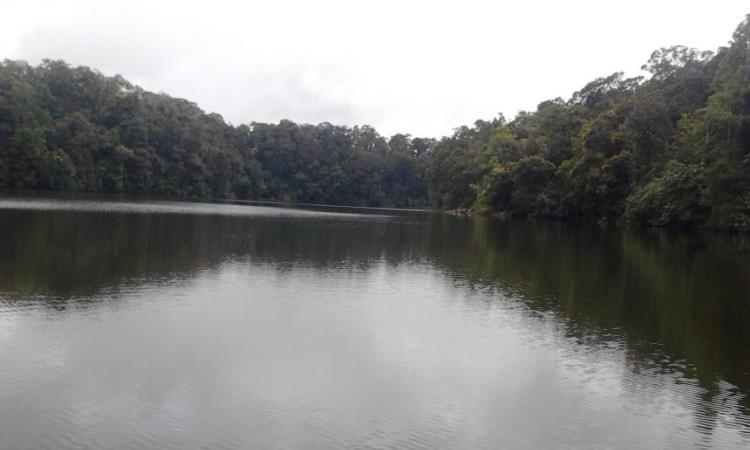 Danau Marsabut - Tempat Wisata di Tapanuli Selatan, 1. Wisata Air Parsariran, 2. Danau Siais, 3. Aek Sijorni, 4. Gunung Sibual – Buali, 5. Bukit Tor Simago – Mago, 6. Air Terjun Silima – lima, 7. Pemandian Air Panas Aek Nabara, 8. Air Terjun Sisundung Parsalakan, 9. Air Terjun Aek Malakkut, 10. Aek Sabaon, 11. Danau Marsabut, 12. Air Terjun Sisoma, 13. Benteng Huraba, 14. Pantai Muara Upu, 15. Cekdam Pargarutan, 16. Kantor Bupati Tapanuli Selatan, 17. Air Terjun Siborpa, 18. Puncak Tunggal Birong, 19. Sampuran Damparan, 20. Tor Simago – mago