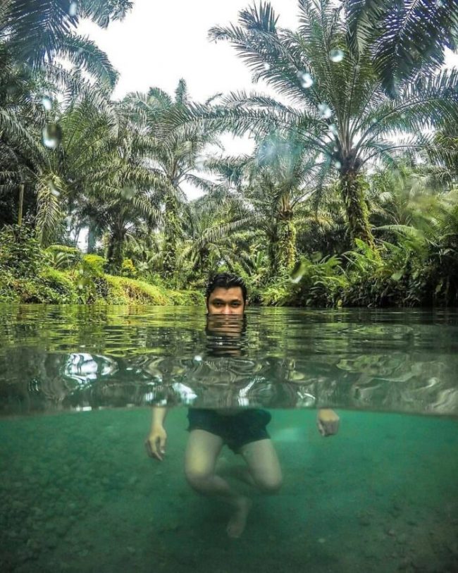 Kolam wak jowo via IG @dodozharahap, 1. Air Terjun Siluman, 2. Kolam Abadi Langkat, 3. Namu Sira – sira, 4. Pemandian Alam Pantai Florida Langkat, 5. Air Terjun 24 Tingkat, 6. Sungai Bingei, 7. Tangkahan CRU, 8. Air Terjun Pantai Salak, 9. Air Terjun Glugur, 10. Bukit Lawang Ecotourusm & Ecoproject, 11. Air Terjun Saringgana, 12. Sungai Landak Bahorok, 13. Air Panas Simolap, 14. Pemandian Lau Kulap, 15. Rumah Pohon Habitat, 16. The Yo’s Hill, 17. Air Terjun Tongkat, 18. Air Terjun Teroh – Teroh, 19. Wisata Pulau Sembilan, 20. Air Terjun Lau Berte, 21. Penatapan Pamah Simelir, 22. Wisata Mangrove Lubuk Kertang, 23. One Heart Hill, 24. Bat Cave Bukit Lawang, 25. Kuil Shri Raja Rajeshwari Amman Kovil, 26. Gua Batu Payung, 27. Gua Gong, 28. Air Terjun Jodoh Semelir, 29. Kawasan Wisata Batu Katak, 30. Arung Jeram Sungai Binjai, 31. Air Terjun Lau Bengaru, 32. Puncak Akui, 33. Kolam Wak Jowo, 34. Selang Pangeran, 35. Goa Pintu Air Langkat, 36. Pantai Pasir Hitam Kwala Gebang, 37. Masjid Azizi Tanjung Pura, 38. Kampung Bali, 39. Pantai 46 Langkat, 40. Bekancan River Langkat, 41. Taman Remaja, 42. Masjid Raya Binjai, 43. Masjid Agung Binjai, 44. Tugu Perjuangan 45, 45. Taman Merdeka, 46. Taman Selfie, 47. Taman Balita, 48. Taman Edukasi