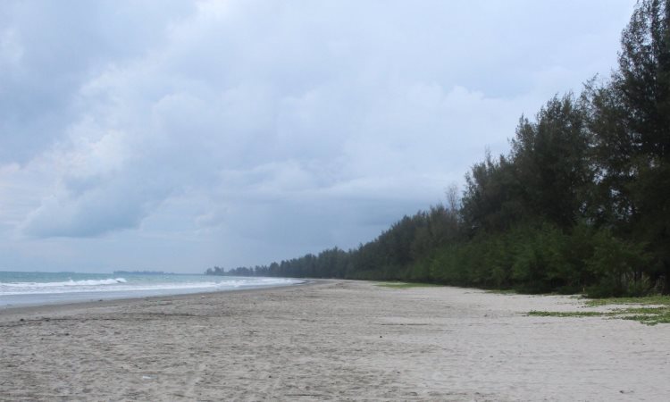 Pantai Sindeas via Twitter @togamd, 1. Pulau Kalimantung, 2. Wisata Sejarah Titik Nol Islam Nusantara, 3. Pulau Mursala, 4. Pulau Putri, 5. Pulau Pandan, 6. Pantai Kade Tigo Barus, 7. Pulau Poncan, 8. Aek Sijorni, 9. Pantai Sindeas, 10. Pulau Karang, 11. Makam Mahligai dan Makam Papan Tinggi Barus, 12. Pantai Bosur, 13. Pulau Pasir Putih, 14. Pulau Poncang Gadang, 15. Pantai Batu Gajah, 16. Air Terjun Silaklak, 17. Pantai Binasi, 18. Air Terjun Silima-Lima, 19. Pulau Bakar, 20. Air Terjun Sihobuk, 21. Air Terjun Labuan Nasonang, 22. Air Terjun Gorbus