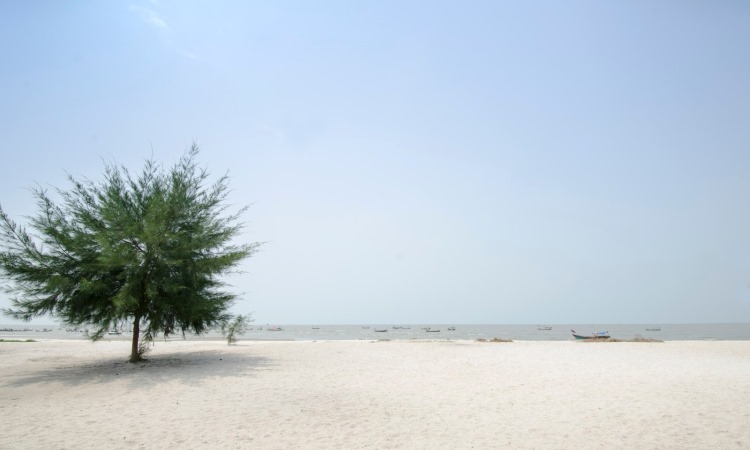 Pantai Sri Mersing via explorasi, 1. Pulau Berhala, 2. Pantai Pondok Permai, 3. Pantai Mutiara Indah, 4. Air Terjun Sempuran Widuri, 5. Pantai Cermin, 6. Pantai Klang, 7. Kampoeng Nipah, 8. Pantai Cermin Theme Park, 9. Pemandian Batu Nongol, 10. Ancol Arum Jeram, 11. Pantai Romantis, 12. Romance Padi, 13. Pasar Bengkel, 14. Pantai Gudang Garam, 15. Pantai Sri Mersing, 16. Kampung Bali Serdang Bedagai, 17. Sipispis Arung Jeram, 18. Pantai Mangrove, 19. Pantai Bali Lestari, 20. Pantai Cemara Kembar, 21. Pantai Kuala Putri, 22. Pantai Sentang