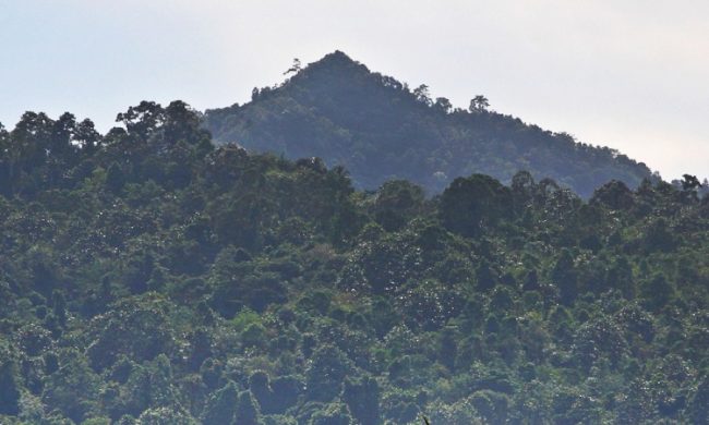 Puncak Hili Maziaya via Northniastourism - tempat wisata di nias utara, 1. Pantai Nela, 2. Pantai Pasir Berbisik, 3. Pantai Toyolawa, 4. Pantai Indah Fofola, 5. Pantai Gawu Soyo, 6. Pantai Turelolo, 7. Pulau Panjang, 8. Pulau Wunga Laguna, 9. Air Terjun Enoo, 10. Air Terjun Tuna, 11. Teluk Siabang, 12. Puncak Hili Maziaya , 13. Danau Megoto , 14. Kuburan Keramat Pulau Maose, 15. Kara Sangadulo , 16. Pantai Teluk Bengkuang