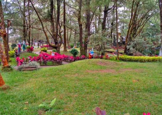 Taman Rekreasi Dewi Sibolangit via Pariwisatasumut - Tempat Wisata Di Deli Serdang, 1. Air Terjun Tanjung Raja, 2. Danau Linting, 3. Gua dan Air Panas Penen, 4. Air Terjun Terunggang, 5. Armaya Wisata Alam, 6. Pantai Salju, 7. Taman The Le Hu Garden, 8. Dusun Kreatif Deli Serdang, 9. Siba Island, 10. Waterpark Bima Utomo Internasional, 11. Wisata Green Hill City Sibolangit, 12. Air Terjun Sampuren Putih, 13. Air Terjun Pelangi Indah, 14. Taman Buah Lubuk Pakam, 15. Air Terjun dan Lembah Loknya, 16. Air Terjun Betala, 17. Air Terjun Dua Warna, 18. Kolam Dewi, 19. Posko Air Terjun Satu Hati, 20. Vihara Vimalakirti, 21. Bumi Perkemahan Pramuka Sibolangit, 22. Tugu Pramuka, 23. Hillpark Sibolangit, 24. Pemandian Alam Karomah, 25. Pemandian Alam Mitra, 26. Training Center Sayum Sabah, 27. Pemandian Alam Tirta Sayum Sabah, 28. T Garden, 29. Hairos Waterpark, 30. Kampung Ladang Outbound, 31. Kota Wisata Jaharun Center, 32. Pemandian Alam Sini Suka Sibiru – biru, 33. Air Terjun Sampuren Putih, 34. Negeri Suah, 35. Kemegahan Bandara Kuala Namu, 36. Martabe Sejahtera Golf Club, 37. Pemandian Alam Lau Sigembur, 38. Taman Rekreasi Dewi Sibolangit, 39. Taman Pramuka, 40. Pantai Muara Indah, 41. Maha Vihara Maitreya, 42. Menikmati Kuliner Bagan Percut