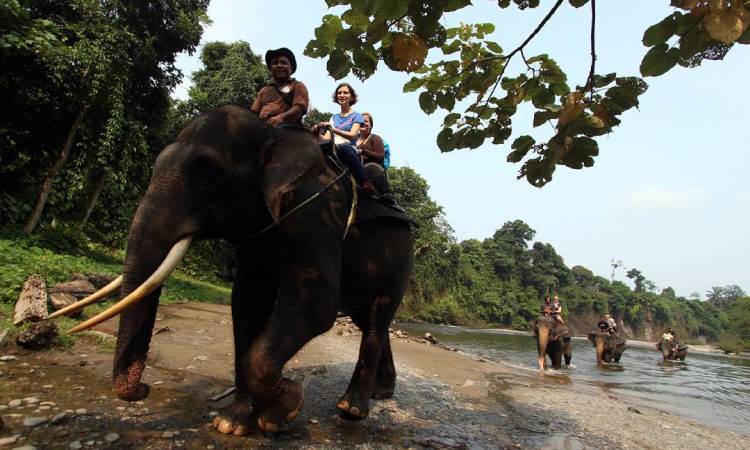 Tangkahan CRU, 1. Air Terjun Siluman, 2. Kolam Abadi Langkat, 3. Namu Sira – sira, 4. Pemandian Alam Pantai Florida Langkat, 5. Air Terjun 24 Tingkat, 6. Sungai Bingei, 7. Tangkahan CRU, 8. Air Terjun Pantai Salak, 9. Air Terjun Glugur, 10. Bukit Lawang Ecotourusm & Ecoproject, 11. Air Terjun Saringgana, 12. Sungai Landak Bahorok, 13. Air Panas Simolap, 14. Pemandian Lau Kulap, 15. Rumah Pohon Habitat, 16. The Yo’s Hill, 17. Air Terjun Tongkat, 18. Air Terjun Teroh – Teroh, 19. Wisata Pulau Sembilan, 20. Air Terjun Lau Berte, 21. Penatapan Pamah Simelir, 22. Wisata Mangrove Lubuk Kertang, 23. One Heart Hill, 24. Bat Cave Bukit Lawang, 25. Kuil Shri Raja Rajeshwari Amman Kovil, 26. Gua Batu Payung, 27. Gua Gong, 28. Air Terjun Jodoh Semelir, 29. Kawasan Wisata Batu Katak, 30. Arung Jeram Sungai Binjai, 31. Air Terjun Lau Bengaru, 32. Puncak Akui, 33. Kolam Wak Jowo, 34. Selang Pangeran, 35. Goa Pintu Air Langkat, 36. Pantai Pasir Hitam Kwala Gebang, 37. Masjid Azizi Tanjung Pura, 38. Kampung Bali, 39. Pantai 46 Langkat, 40. Bekancan River Langkat, 41. Taman Remaja, 42. Masjid Raya Binjai, 43. Masjid Agung Binjai, 44. Tugu Perjuangan 45, 45. Taman Merdeka, 46. Taman Selfie, 47. Taman Balita, 48. Taman Edukasi