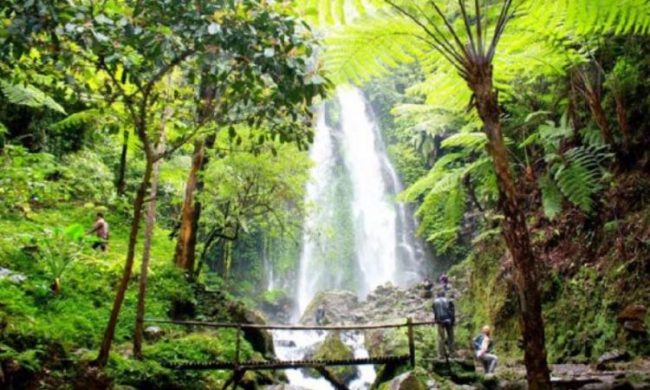 Air Terjun Kulu Kubuk, 1. Pantai Pokai, 2. Pantai Siruso, 3. Pantai Katiet Bosua, 4. Pantai Awera, 5. Pulau Siberut, 6. Pulau Sipora, 7. Pulau Pagai, 8. Air Terjun Bat Soumang, 9. Danau Rua Oinan, 10. Air Terjun Kulu Kubuk, 11. Pantai Nyanyang, 12. Dermaga Tuapeijat, 13. Pantai Jati, 14. Air Terjun Pujujurung, 15. Taman Patung Sikerei, 16. Pantai Mapadeggat, 17. Pulau Umat Siteu, 18. Teluk Sibigeu, 19. Pulau Silabu, 20. Pantai Aloita, 21. Pantai Sioban, 22. Pulau Pittoijat, 23. Goa Pamintaijat, 24. Pulau Karamajat, 25. Pulau Bakkat Menuang, 26. Wavepark Resort, 27. Pitstop Hill Mentawai