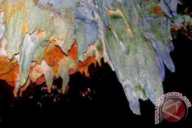 Goa Sayur Matinggi via Antaranews - Tempat wisata di padang sidempuan, 1. Air Terjun Napa, 2. Air Terjun Silima – lima, 3. Danau Siais Batangtoru, 4. Istana Raja Najunggal, 5. Danau Tao, 6. Aek Sijorni, 7. Barumun Sanctuary Wild Life, 8. Kebun Bunga Matahari Batang Bahal, 9. Sampuraga, 10. Jalan Baru Padang Sidempuan, 11. Rumah Kaca Panyabungan, 12. Sibio – bio, 13. Tugu Salak, 14. Simarsayang, 15. Perkebunan Buah Naga, 16. Puncak JB Padangsidimpuan, 17. Sipenggeng Rock, 18. Goa Sayur Matinggi