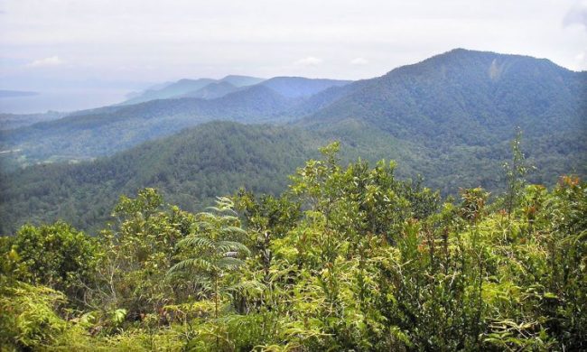 Gunung Pangulubao, 1. Bukit Tara Bunga, 2. Pantai Bul – Bul, 3. Air Terjun Simanimbo, 4. Air Terjun Situmurun, 5. Pantai Meat, 6. Jembatan Gantung Tornagodang, 7. Pantai Pakkodian, 8. Puncak Pakkodian, 9. Air Terjun Sialogo, 10. Sungai Saragi, 11. Bukit Paropo, 12. Air Terjun Natumika, 13. Gunung Pangulubao, 14. Bukit Pahoda, 15. Bukit Senyum, 16. Air Terjun Siboruon, 17. Gua Aek Buangan, 18. Pasar Balige, 19. Pasir Putih Parbaba, 20. Air Terjun Sigura – gura, 21. Museum TB Silalahi Center, 22. Monumen Raja Sonakmalela, 23. Pantai Agadon, 24. Taman Eden 100, 25. Bukit Dolok Tolong, 26. Tugu DI Panjaitan