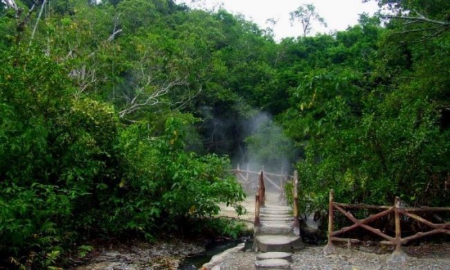 Taman Wisata Alam Rimbo Panti via Sumbarfokus, 1. Puncak Tonang, 2. Gunung Talamau, 3. Air Terjun Batang Nango, 4. Pantai Sasak, 5. Monument Equator, 6. Museum Tuanku Imam Bonjol, 7. Air Terjun Caracai, 8. Bukik Tujuah, 9. Taman Wisata Alam Rimbo Panti, 10. Ikan Banyak Lubuak Bonta, 11. Pusat Kota Lubuk Sikaping, 12. Wisata Bayang Aia