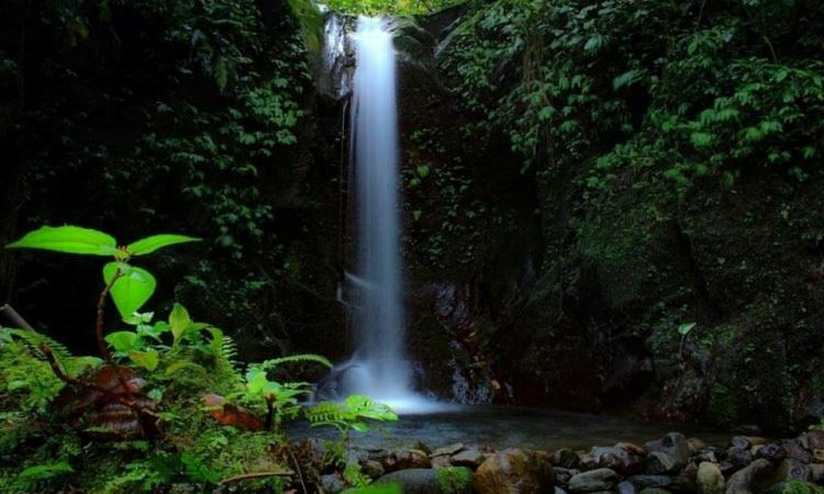 Air Terjun Batu Basurek via Fb, 1. Pulau Kasiak, 2. Pantai Kata Pariaman, 3. Pulau Ujung, 4. Muara Manggung, 5. Pantai Gandoriah, 6. Pantai Cermin, 7. Pantai Tiram, 8. Pulau Angso Duo, 9. Air Terjun Nyarai, 10. Air Terjun Baburai, 11. Tapian Puti, 12. Pemandian Tirta Alami Malibo, 13. Pantai Ketaping, 14. Rumah Tabuik Pasa, 15. Pantai Nareh, 16. Taman Hutan Mangrove Pariaman, 17. Air Terjun Lubuk Bonta, 18. Air Terjun Batu Basurek, 19. Pulau Tangah, 20. Panorama Puncak Kiambang, 21. Taman Bendungan Anai, 22. Pantai Talao Indah, 23. Pantai Belibis, 24. Taman Anas Malik, 25. Lubuak Batu Tuduang, 26. Bukit Siriah