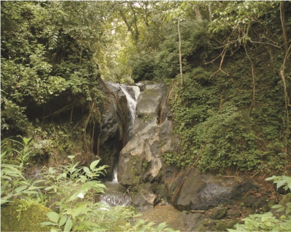 Air Terjun Sarasah Batimpo, 1. Taman Syekh Kukut, 2. Kebun Teh Alahan Panjang, 3. Danau Diateh Danau Dibawah, 4. Nagari Seribu Rumah Gadang, 5. Danau Singkarak, 6. Puncak Gagoan, 7. Danau Talang, 8. Wisata Laing Park, 9. Air Terjun Kapalo Banda Koto Hilalang, 10. Puncak Happy, 11. Masjid Agung Al-Muhsinin, 12. Taman Wisata Pulau Belibis, 13. Puncak Ahmad Sadin, 14. Pemandian Aie Angek Bukik Kili, 15. Bukit Cinangkiak, 16. Taman Kota Arosuka, 17. Masjid Tuo Kayu Jao, 18. Bukit Cambai, 19. Pemandian Air Panas Bukik Gadang, 20. Air Terjun Sarasah Batimpo, 21. Puncak Guguak Sarai, 22. Angin Berembus Aripan, 23. Puncak Gobah