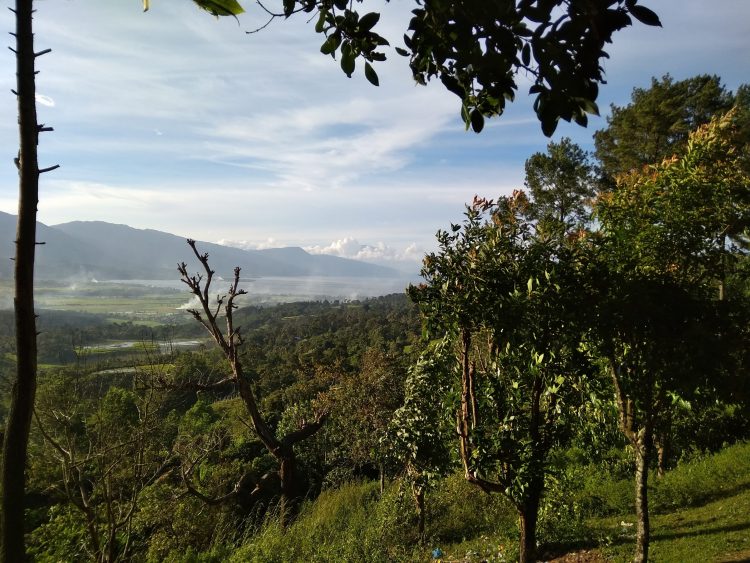 Pemandangan dari Angin Berhembus, 1. Taman Syekh Kukut, 2. Kebun Teh Alahan Panjang, 3. Danau Diateh Danau Dibawah, 4. Nagari Seribu Rumah Gadang, 5. Danau Singkarak, 6. Puncak Gagoan, 7. Danau Talang, 8. Wisata Laing Park, 9. Air Terjun Kapalo Banda Koto Hilalang, 10. Puncak Happy, 11. Masjid Agung Al-Muhsinin, 12. Taman Wisata Pulau Belibis, 13. Puncak Ahmad Sadin, 14. Pemandian Aie Angek Bukik Kili, 15. Bukit Cinangkiak, 16. Taman Kota Arosuka, 17. Masjid Tuo Kayu Jao, 18. Bukit Cambai, 19. Pemandian Air Panas Bukik Gadang, 20. Air Terjun Sarasah Batimpo, 21. Puncak Guguak Sarai, 22. Angin Berembus Aripan, 23. Puncak Gobah