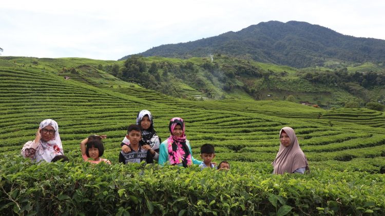 Kebun Teh Alahan Panjang via Udahindra.blogspotcom - 65 Tempat Wisata di Sumatera Barat Terhits yang Wajib Dikunjungi, 1. Jam Gadang di Bukit Tinggi, 2. Istana Baso Pagaruyung, 3. Pantai Carocok Painan, 4. Lobang Jepang, 5. Pantai Padang ‘Nan Rancak Bana’ , 6. Pantai Gandoriah Pariaman, 7. Puncak Lawang Maninjau, 8. Lembah Anai , 9. Museum Adityawarman, 10. Pantai Muaro Padang & Jembatan Siti Nurbaya, 11. Pantai Kata Pariaman, 12. Benteng Fort de Kock, 13. Ngarai Sianok, 14. Pantai Cermin, 15. Wisata Pantai Caroline/Carolina, 16. Air Panas Bukik Kili, 17. Danau Maninjau, 18. Pemandian Lubuk Minturun, 19. Lembah Harau , 20. Puncak Anai (Pemandian dan Camping Ground), 21. Pesona Kepulauan Mentawai , 22. Janjang Seribu Great Wall of Koto Gadang, 23. Danau Singkarak, 24. Danau Diateh dan Danau Dibawah ( Danau Kembar ), 25. Pantai Aie Manih si Malin Kundang, 26. Pulau Cubadak, 27. Kawasan Wisata Mandeh, 28. Pulau Sikuai, 29. Tirta Alami, 30. Air Terjun Nyarai, 31. Pemandian Alam Sako Tapan, 32. Lubuak Bonta, 33. Lubuak Mato Kuciang, 34. Pemandian Alami Batang Tabik, 35. Lubuak Paraku, 36. Air Terjun Timbulun, 37. Muaro Binguang, 38. Ngalau Indah , 39. Jembatan Akar Pesisir Selatan, 40. Pulau Pasumpahan , 41. Pantai Nirwana, 42. Air Terjun Tigo Tingkek, 43. Air Terjun Sarasah Banyak Gariang, 44. Panorama Sitinjau Lauik, 45. Tapian Puti, 46. Lubuak Rantiang, 47. Sirukam Dairy Farm, 48. Puncak Gagoan, 49. Rumah Pohon Laing Park Solok, 50. Puncak Gobah, 51. Air Terjun Kapalo Banda Koto Hilalang, 52. Danau Talang – Solok, 53. Danau Dieteh dan Danau Dibawah, 54. Kebun Teh Alahan Panjang, Solok, 55. Jembatan Kelok Sembilan, 56. Air Terjun Lubuak Bulan, 57. Padang Mengatas, 58. Pulau Angso Duo Pariaman, 59. Pantai Tiram, 60. Puncak Langkisau