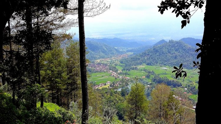 Puncak Pato - tempat wisata di Tanah Datar, 1. Cagar Budaya Batikam, 2. Wisata Istana Pagaruyung / Istana Basa, 3. Bukit Aua Sarumpun, 4. Benteng Van Der Capellen, 5. Air Terjun Lembah Anai, 6. Masjid Raya Rao – Rao, 7. Danau Singkarak, 8. Desa Pariangan, 9. Tabek Patah, 10. Rumah Gadang Kampai Nan Panjang, 11. Balairuang Sari, 12. Puncak Pato, 13. Prasasti Adityawarman, 14. Batu Angkek – Angkek, 15. Kincir Air Talawi, 16. Istano Rajo, 17. Pacu Jawi, 18. Batu Basurek, 19. Ngalau Pangian, 20. Tanjung Mutiara, 21. Sate Didong Khas Batusangkar