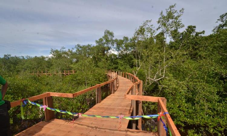 Taman Hutan Mangrove Pariaman via Fb, 1. Pulau Kasiak, 2. Pantai Kata Pariaman, 3. Pulau Ujung, 4. Muara Manggung, 5. Pantai Gandoriah, 6. Pantai Cermin, 7. Pantai Tiram, 8. Pulau Angso Duo, 9. Air Terjun Nyarai, 10. Air Terjun Baburai, 11. Tapian Puti, 12. Pemandian Tirta Alami Malibo, 13. Pantai Ketaping, 14. Rumah Tabuik Pasa, 15. Pantai Nareh, 16. Taman Hutan Mangrove Pariaman, 17. Air Terjun Lubuk Bonta, 18. Air Terjun Batu Basurek, 19. Pulau Tangah, 20. Panorama Puncak Kiambang, 21. Taman Bendungan Anai, 22. Pantai Talao Indah, 23. Pantai Belibis, 24. Taman Anas Malik, 25. Lubuak Batu Tuduang, 26. Bukit Siriah