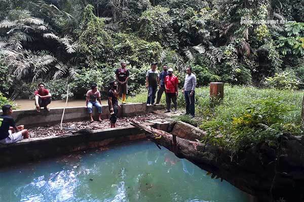 Air Panas Sungai Pinang via FB, 1. Danau Rawang Udang, 2. Danau Masjid Koto Kari, 3. Air Panas Sungai Pinang, 4. Hutan Kota Pulau Bungin, 5. Air Terjun Guruh Gemurai, 6. Air Terjun Batang Koban, 7. Air Terjun Anak Sungai Kandi, 8. Air Terjun Patisoni, 9. Desa Wisata Koto Sentajo, 10. Suaka Margasatwa Bukit Rimbang Baling, 11. Taman Kota Teluk Kuantan, 12. Danau Kebun Kopi, 13. Taman Wisata Sei Doranan, 14. Bendungan Pangean