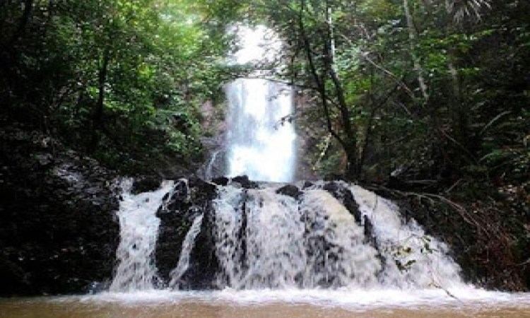Air Terjun Anak Sungai Kandi via Kuansinggoid, 1. Danau Rawang Udang, 2. Danau Masjid Koto Kari, 3. Air Panas Sungai Pinang, 4. Hutan Kota Pulau Bungin, 5. Air Terjun Guruh Gemurai, 6. Air Terjun Batang Koban, 7. Air Terjun Anak Sungai Kandi, 8. Air Terjun Patisoni, 9. Desa Wisata Koto Sentajo, 10. Suaka Margasatwa Bukit Rimbang Baling, 11. Taman Kota Teluk Kuantan, 12. Danau Kebun Kopi, 13. Taman Wisata Sei Doranan, 14. Bendungan Pangean