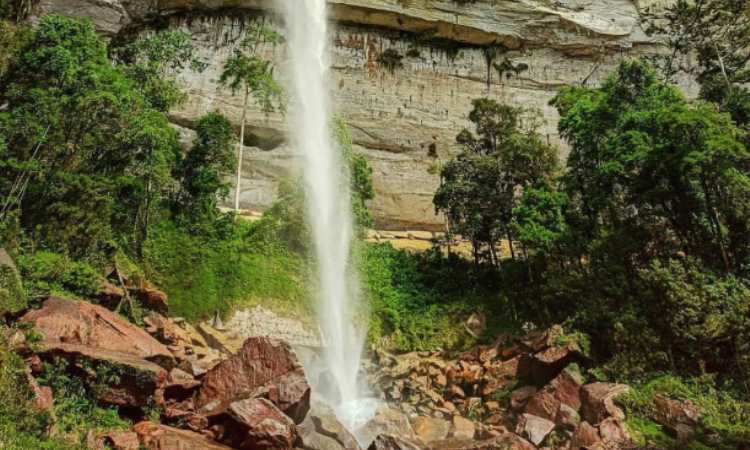 Air Terjun Batang Kapas via IG @exploresumbarriau, 1. Puncak Kompe, 2. Lubang Kolam Kampar, 3. Teluk Jering, 4. Bukit Naang Bangkinang, 5. Rimbang Baling, 6. Sungai Hijau, 7. Sungai Gulamo, Green Canyon Riau, 8. Air Terjun Batang Kapas, 9. Desa Buluh Cina, 10. Pulau Cinta, 11. Air Terjun Panisan, 12. Ulu Kasok, 13. Puncak Mahligai Indah, 14. Rumah Lontiok, 15. Hutan Pinus Kampar, 16. Puncak Pukatan, 17. Taman Agro Nadin, 18. Stanum Bangkinang, 19. Waduk Koto Panjang, 20. Taman Bunga Eceng Gondok, 21. Jembatan Water Front City Bangkinang, 22. Candi Muara Takus, 23. Air Terjun Batu Dinding