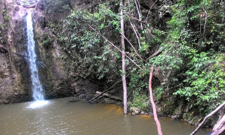 Air Terjun Patisoni, 1. Danau Rawang Udang, 2. Danau Masjid Koto Kari, 3. Air Panas Sungai Pinang, 4. Hutan Kota Pulau Bungin, 5. Air Terjun Guruh Gemurai, 6. Air Terjun Batang Koban, 7. Air Terjun Anak Sungai Kandi, 8. Air Terjun Patisoni, 9. Desa Wisata Koto Sentajo, 10. Suaka Margasatwa Bukit Rimbang Baling, 11. Taman Kota Teluk Kuantan, 12. Danau Kebun Kopi, 13. Taman Wisata Sei Doranan, 14. Bendungan Pangean