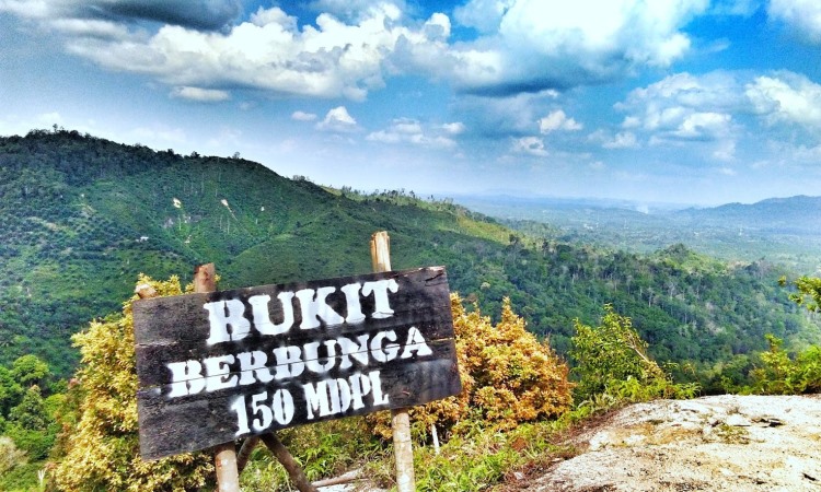 Bukit Berbunga via Andrresaputra7.blogspotcom, 1. Pantai Solop, 2. Air Terjun 86, 3. Agrowisata Kelapa, 4. Telaga Mablu, 5. Rawa Gambut Pulau Cawan, 6. Sungai Rukam, 7. Wisata Alam Danau Raja, 8. Bukit Berbunga, 9. Air Terjun Tembulun Rusa, 10. Event Wisata Menongkah, 11. Makam Syekh Abdurrahman Siddiq, 12. Wisata Sampan Leper, 13. Hutan Mangrove di Mandah, 14. Kebun Jeruk Pulau Palas, 15. Kampoeng Selfie