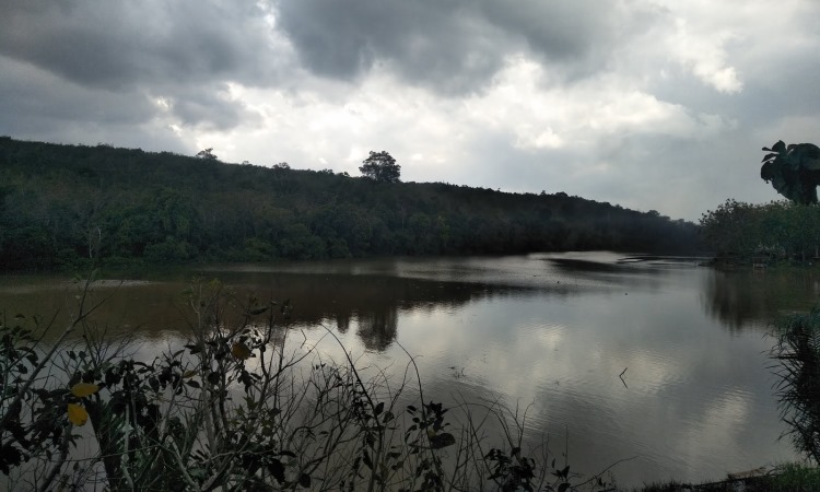 Cipogas via ROkanhuluthediversityofmelayu.blogspotcom, 1. Objek Wisata Sawah Koto, 2. Destinasi Wisata Air Bendungan Sei Kepayang, 3. Istana Rokan, 4. Wisata Aek Martua, 5. Pemandian Air Panas Pawan, 6. Sungai Bungo, 7. Pemandian Hapanasan, 8. Sungai Rokan Kiri, 9. Cipogas, 10. Rumah Batu Serombou, 11. Masjid Agung Madani Islamic Center, 12. Taman Nasional Bukit Suligi, 13. Makam Raja – Raja Rambah, 14. Masjid Tua Konto Darussalam, 15. Museum Kupu – Kupu, 16. Batu Gajah, 17. Danau Sipogas, 18. Goa Huta Sikafir, 19. Benteng Tujuh Lapis