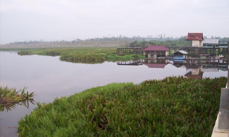 Danau Napangga via Wahanariau, 1. Taman Kota Bagan, 2. Masjid Al-Ikhlas Bagan Siapiapi, 3. Pulau Jemur, 4. Rumah Pohon Bagan Batu, 5. Platinum Waterpark, 6. Sinaboi, 7. Pulau Tilan, 8. Bono Sungai Rokan, 9. Desa Rantau Bais, 10. Pulau Pedamaran, 11. Pulau Berkey, 12. Danau Napangga, 13. Panipahan
