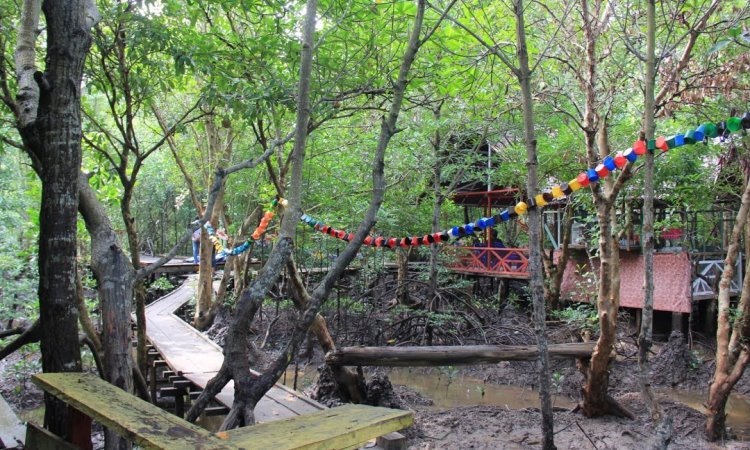 Hutan Mangrove via Riaumagz, 1. Pantai Purnama, 2. Kampung Teratai, 3. Pantai Medang Kampai, 4. Pantai Teluk Makmur, 5. Pesanggrahan Putri Tujuh, 6. Pelabuhan TPI Purnama, 7. Hutan Wisata Dumai, 8. Hutan Mangrove, 9. Danau Bunga Tujuh, 10. Pantai Pulai Bungkuk Indah, 11. Masjid Raya Al-Manan, 12. Taman Telaga Tirta Patra, 13. Pantai Marina Indah Pulak, 14. Pantai Koneng, 15. Goa Pelintung, 16. Tapak Harimau Sakti, 17. Tugu Lancang Kuning, 18. Taman Putri Zara, 19. Taman Bukit Gelanggang, 20. Resto Rumah Pohon Miaki, 21. Pantai Panorama Puak Dumai, 22. Taman Mina Patra, 23. Bandar Bakau Dumai, 24. Pantai Captain Elwin, 25. Pantai Wisata Bahtera Alam Guntung, 26. Pantai Akasia Indah Guntung, 27. Pantai Legenda