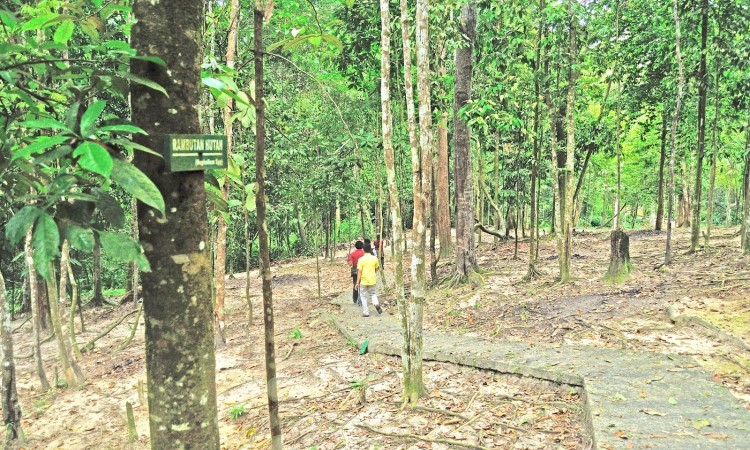 Hutan Wisata Dumai via Menyapariau, 1. Pantai Purnama, 2. Kampung Teratai, 3. Pantai Medang Kampai, 4. Pantai Teluk Makmur, 5. Pesanggrahan Putri Tujuh, 6. Pelabuhan TPI Purnama, 7. Hutan Wisata Dumai, 8. Hutan Mangrove, 9. Danau Bunga Tujuh, 10. Pantai Pulai Bungkuk Indah, 11. Masjid Raya Al-Manan, 12. Taman Telaga Tirta Patra, 13. Pantai Marina Indah Pulak, 14. Pantai Koneng, 15. Goa Pelintung, 16. Tapak Harimau Sakti, 17. Tugu Lancang Kuning, 18. Taman Putri Zara, 19. Taman Bukit Gelanggang, 20. Resto Rumah Pohon Miaki, 21. Pantai Panorama Puak Dumai, 22. Taman Mina Patra, 23. Bandar Bakau Dumai, 24. Pantai Captain Elwin, 25. Pantai Wisata Bahtera Alam Guntung, 26. Pantai Akasia Indah Guntung, 27. Pantai Legenda